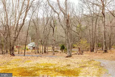 49 Mountain Top Road, Mathias, WV 26812 - Photo 13