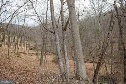 49 Mountain Top Road, Mathias, WV 26812 - Photo 55