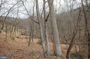 49 Mount Top Rd, Mathias, WV 26812 - Photo 55