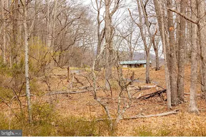 49 Mountain Top Road, Mathias, WV 26812 - Photo 17