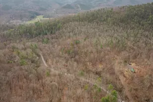 949 Dumpling Run Rd, Moorefield, WV 26836 - Photo 35