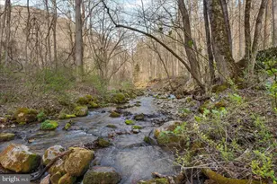 949 Dumpling Run Rd, Moorefield, WV 26836 - Photo 29