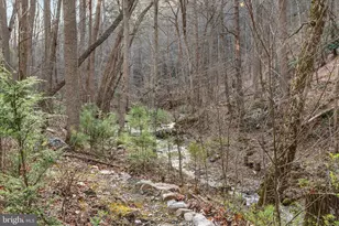 949 Dumpling Run Rd, Moorefield, WV 26836 - Photo 27