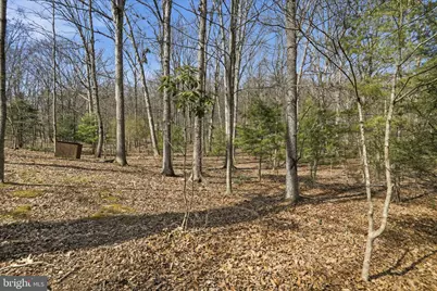 61 Grouse Circle, Lost City, WV 26810 - Photo 3
