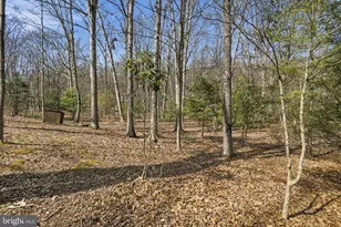61 Grouse Cir, Lost City, WV 26810 - Photo 3