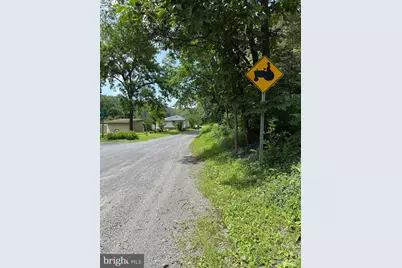 619 Moores Run Branch Road, Wardensville, WV 26851 - Photo 11