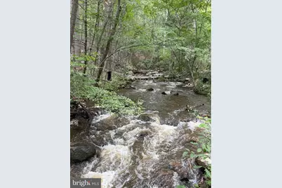 619 Moores Run Branch Road, Wardensville, WV 26851 - Photo 9