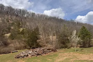 656 Wildlife Dr, Lost City, WV 26810 - Photo 65