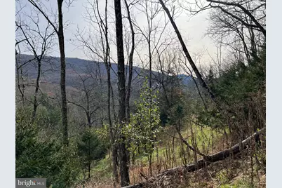 656 Wildlife Drive, Lost City, WV 26810 - Photo 69