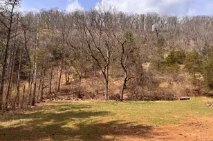 656 Wildlife Dr, Lost City, WV 26810 - Photo 67