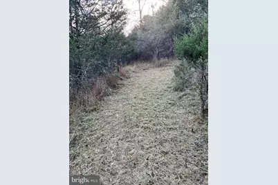 656 Wildlife Drive, Lost City, WV 26810 - Photo 71