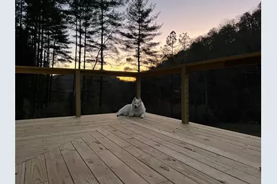 656 Wildlife Drive, Lost City, WV 26810 - Photo 57