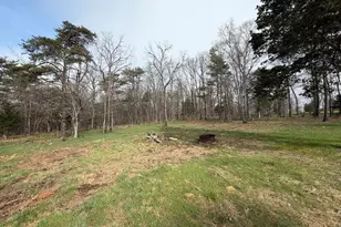 401 Charles Way, Purgitsville, WV 26845 - Photo 9