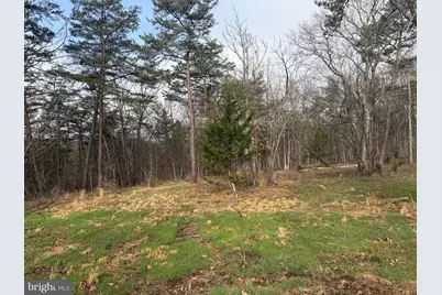 401 Charles Way, Purgitsville, WV 26845 - Photo 5