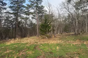 401 Charles Way, Purgitsville, WV 26845 - Photo 5