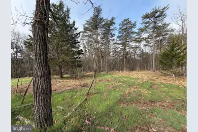 401 Charles Way, Purgitsville, WV 26845 - Photo 7