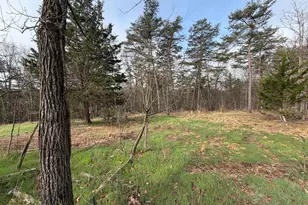 401 Charles Way, Purgitsville, WV 26845 - Photo 7