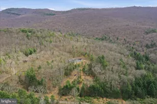 777 Wildlife Dr, Lost River, WV 26810 - Photo 69