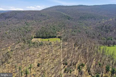 56 Acres Falcon Road, Mathias, WV 26812 - Photo 17