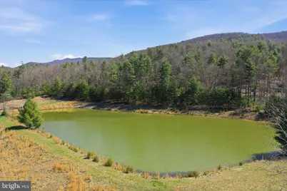 56 Acres Falcon Road, Mathias, WV 26812 - Photo 23
