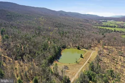 56 Acres Falcon Road, Mathias, WV 26812 - Photo 5