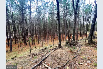 85 Trough View Road, Moorefield, WV 26836 - Photo 17