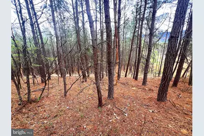 85 Trough View Road, Moorefield, WV 26836 - Photo 19