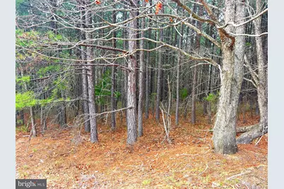 85 Trough View Road, Moorefield, WV 26836 - Photo 23