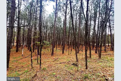 85 Trough View Road, Moorefield, WV 26836 - Photo 15