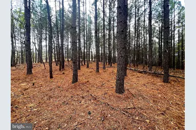 85 Trough View Road, Moorefield, WV 26836 - Photo 27