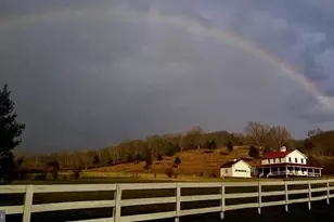 41 Farmhouse Ln, Lost City, WV 26810 - Photo 97