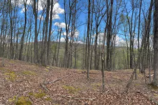 5 Cove Creek, Baker, WV 26801 - Photo 1