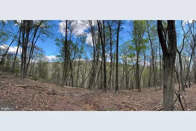 5 Cove Creek, Baker, WV 26801 - Photo 5