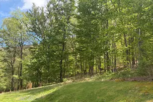 216 Walnut Dr, Moorefield, WV 26836 - Photo 5