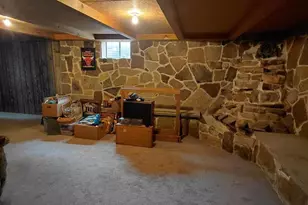 1085 Frosty Hollow Rd, Fisher, WV 26818 - Photo 61
