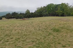 1085 Frosty Hollow Rd, Fisher, WV 26818 - Photo 21