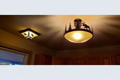 4038 Mount Olive, Rio, WV 26755 - Photo 71