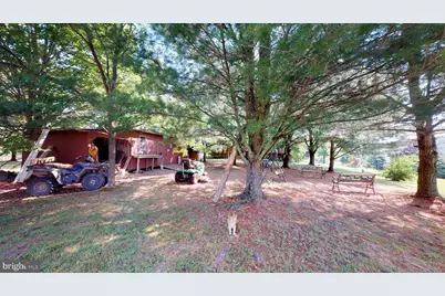 4038 Mount Olive, Rio, WV 26755 - Photo 51