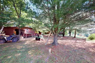 4038 Mount Olive, Rio, WV 26755 - Photo 51
