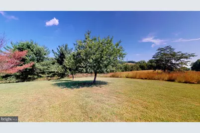 4038 Mount Olive, Rio, WV 26755 - Photo 31