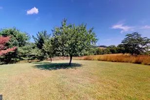 4038 Mount Olive, Rio, WV 26755 - Photo 31