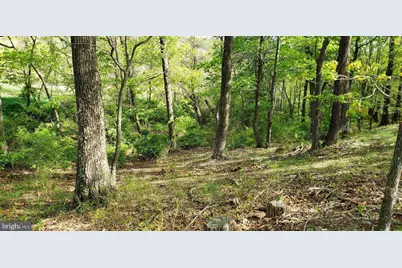 4038 Mount Olive, Rio, WV 26755 - Photo 55