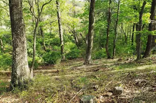 4038 Mount Olive, Rio, WV 26755 - Photo 55