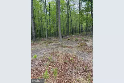 64 Trout Pass Park Road, Mathias, WV 26812 - Photo 9