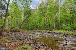 13581 Ford Hill Rd, Rio, WV 26755 - Photo 49
