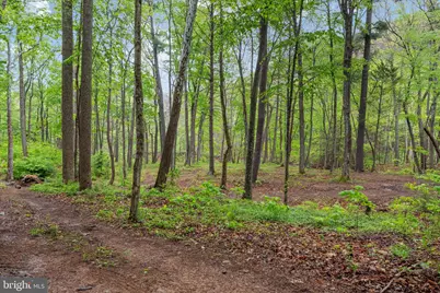 13581 Ford Hill Road, Rio, WV 26755 - Photo 47