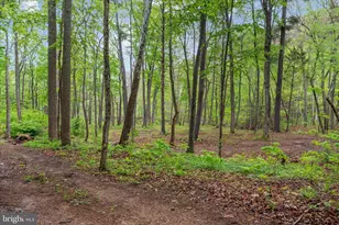 13581 Ford Hill Rd, Rio, WV 26755 - Photo 47