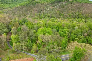 13581 Ford Hill Rd, Rio, WV 26755 - Photo 59