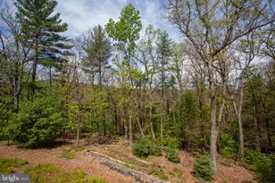 324 Mountaintop Dr, Mathias, WV 26812 - Photo 27