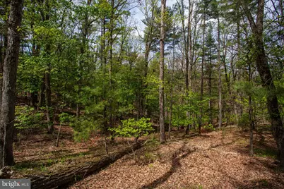 324 Mountaintop Drive, Mathias, WV 26812 - Photo 25